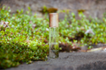 Clover Organic Huile  De Parfum