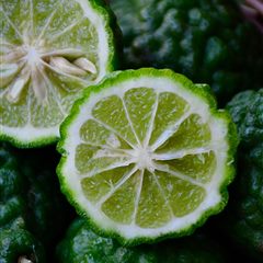 Bergamot