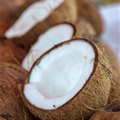 Coconut Oil