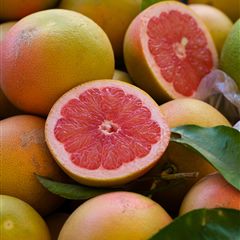 Pink Grapefruit