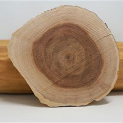 Sandalwood