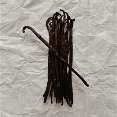 Vanilla